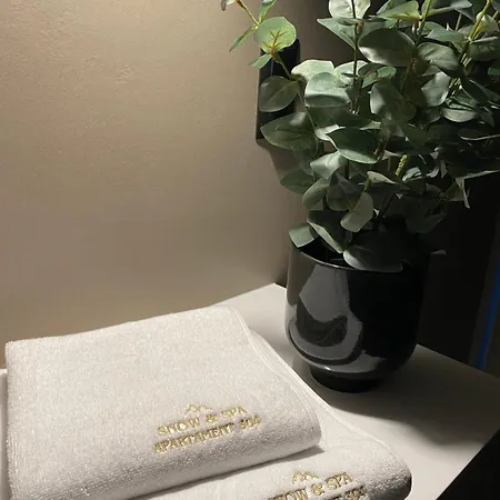 Snow & Czarna Gora Апартаменты